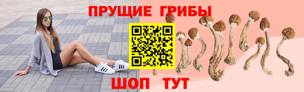 Семёнов  Псилоцибиновые грибы мицелий  Вход с VPN 